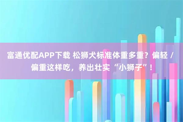 富通优配APP下载 松狮犬标准体重多重？偏轻 / 偏重这样吃，养出壮实 “小狮子”！