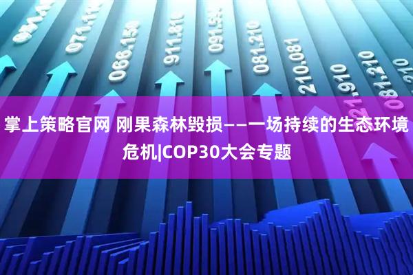 掌上策略官网 刚果森林毁损——一场持续的生态环境危机|COP30大会专题