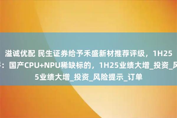 溢诚优配 民生证券给予禾盛新材推荐评级,1H25业绩预告点评:国产CPU+NPU稀缺标的,1H25业绩大增_投资_风险提示_订单