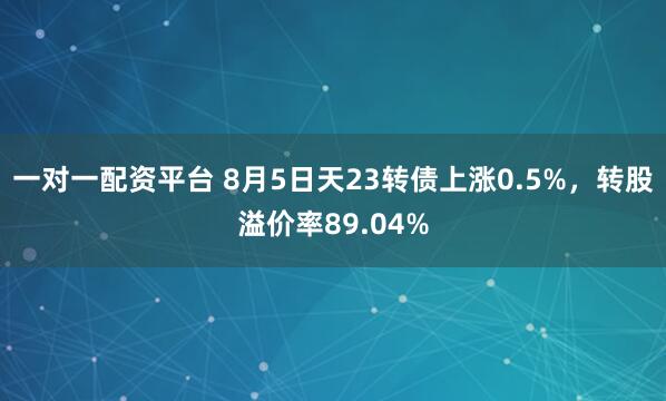 一对一配资平台 8月5日天23转债上涨0.5%,转股溢价率89.04%