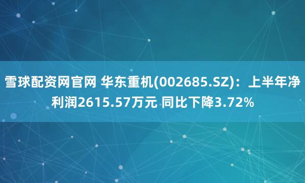 雪球配资网官网 华东重机(002685.SZ)：上半年净利润2615.57万元 同比下降3.72%